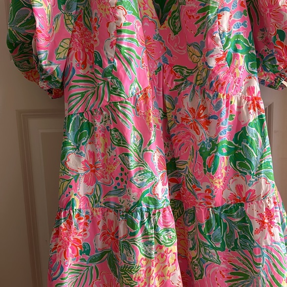 NWT Lilly Pulitzer Nalani Short Sleeve Cotton Dress: Perfect condition. - Picture 6 of 8